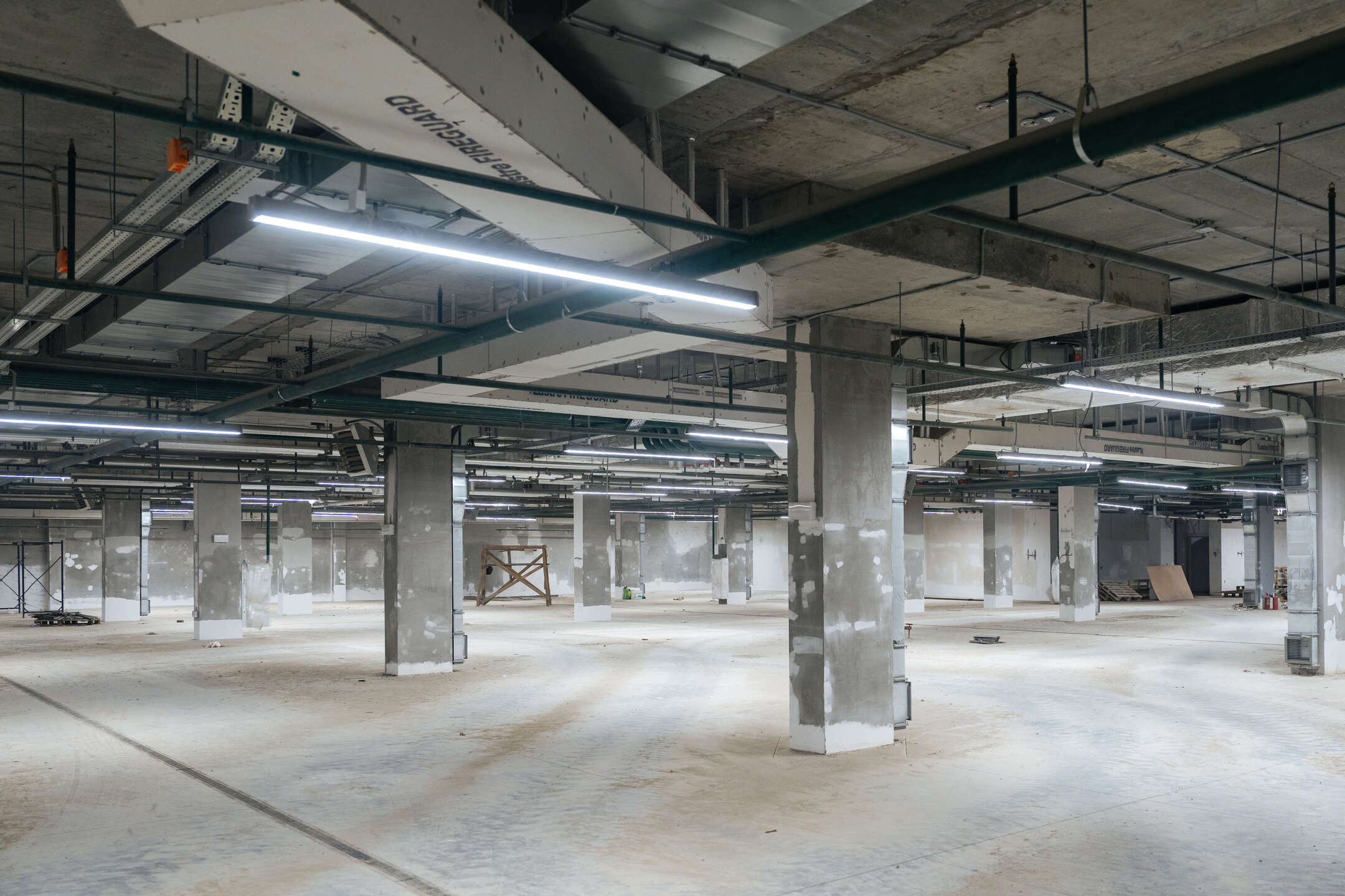 FØRST: официальный фотоотчёт 2024-08-15, фото 27