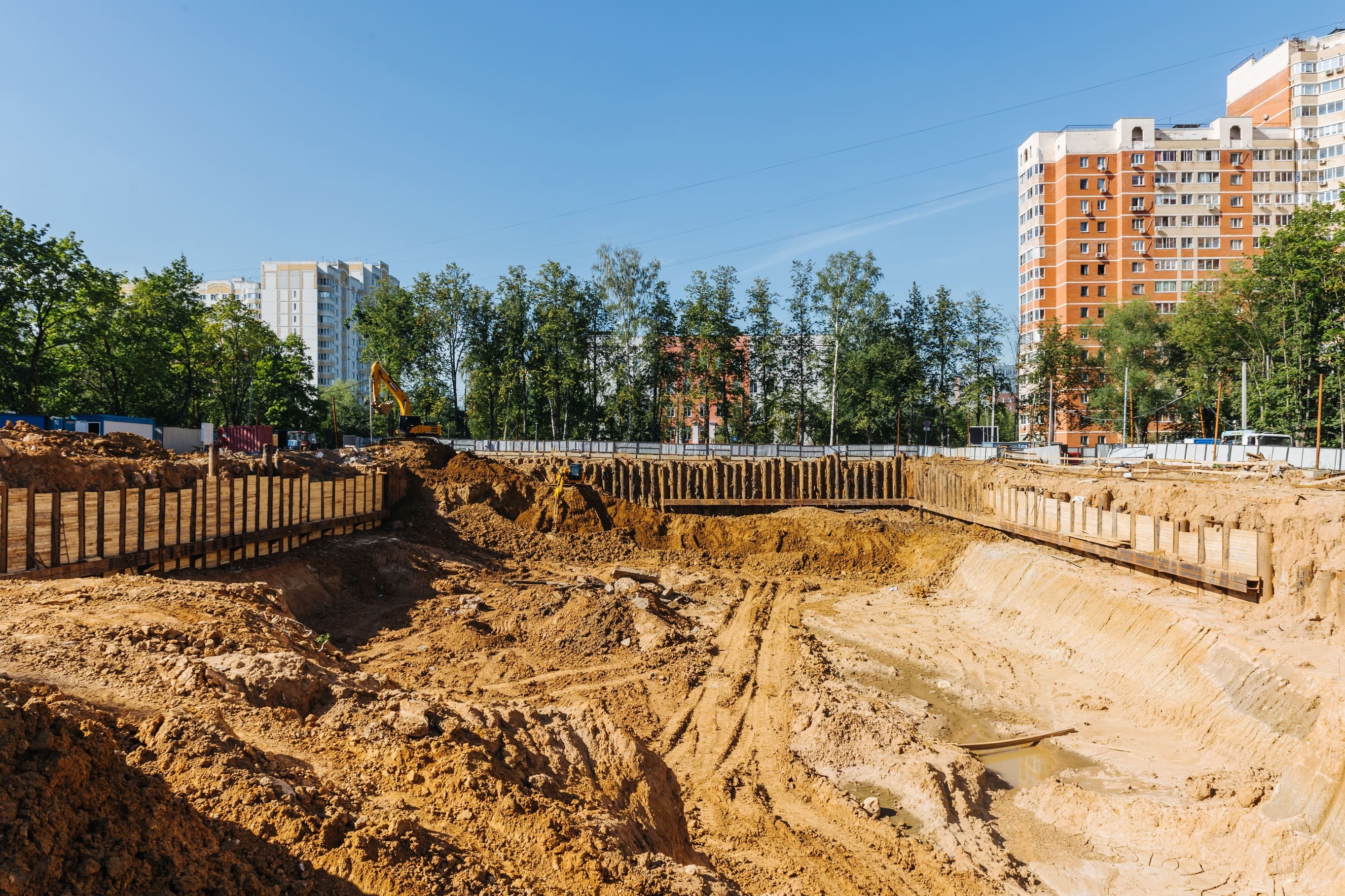 Индиво: официальный фотоотчёт, 2024-07-31