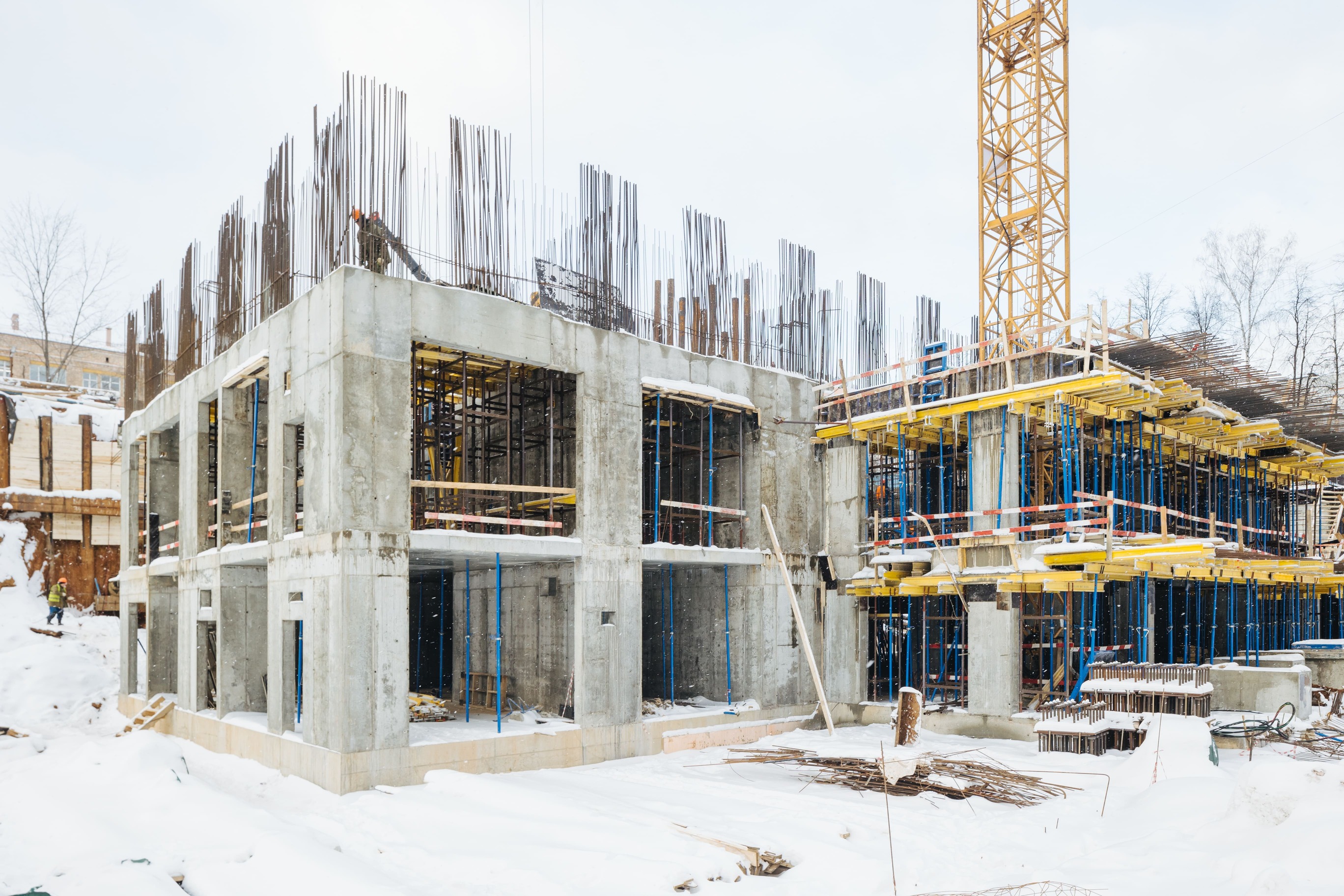 Индиво: официальный фотоотчёт, 2024-12-31