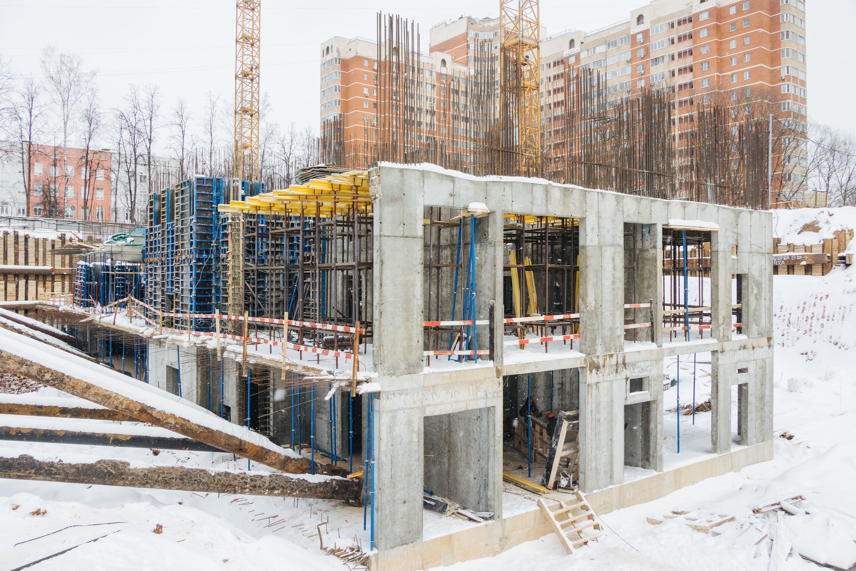 Индиво: официальный фотоотчёт, 2024-12-31