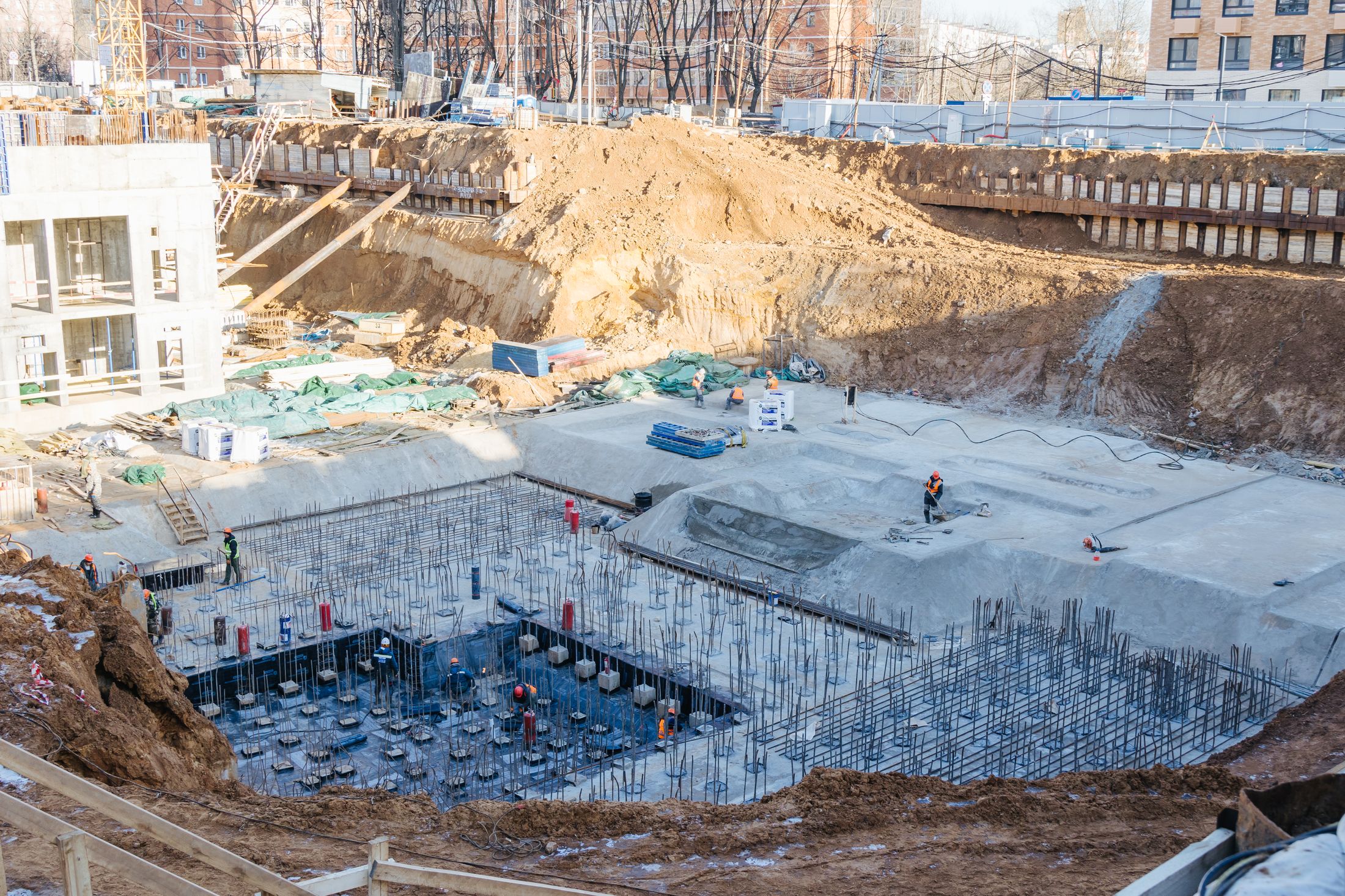 Индиво: официальный фотоотчёт, 2025-01-31