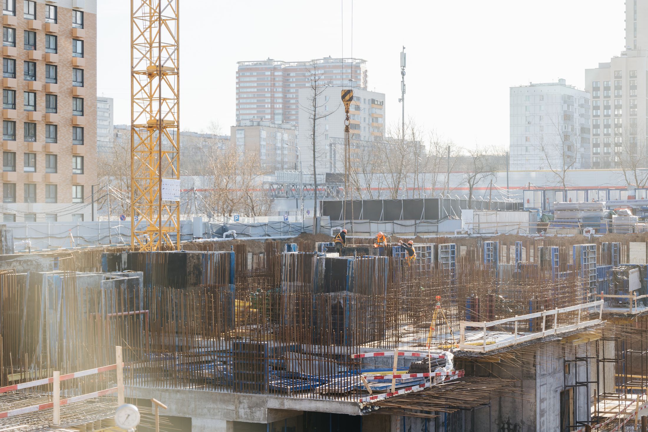 Индиво: официальный фотоотчёт, 2025-01-31
