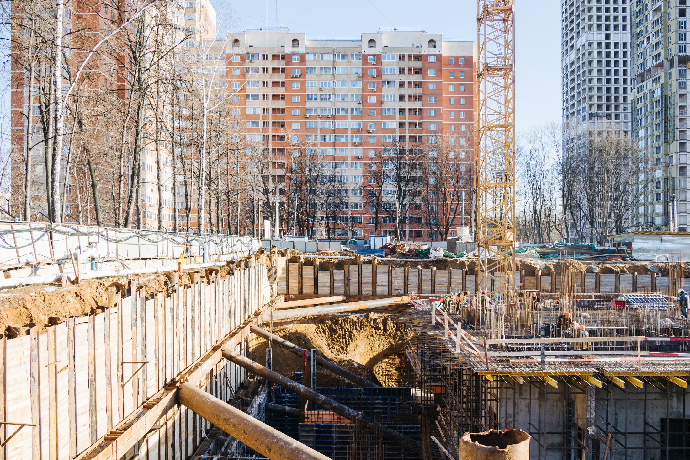 Индиво: официальный фотоотчёт, 2025-01-31