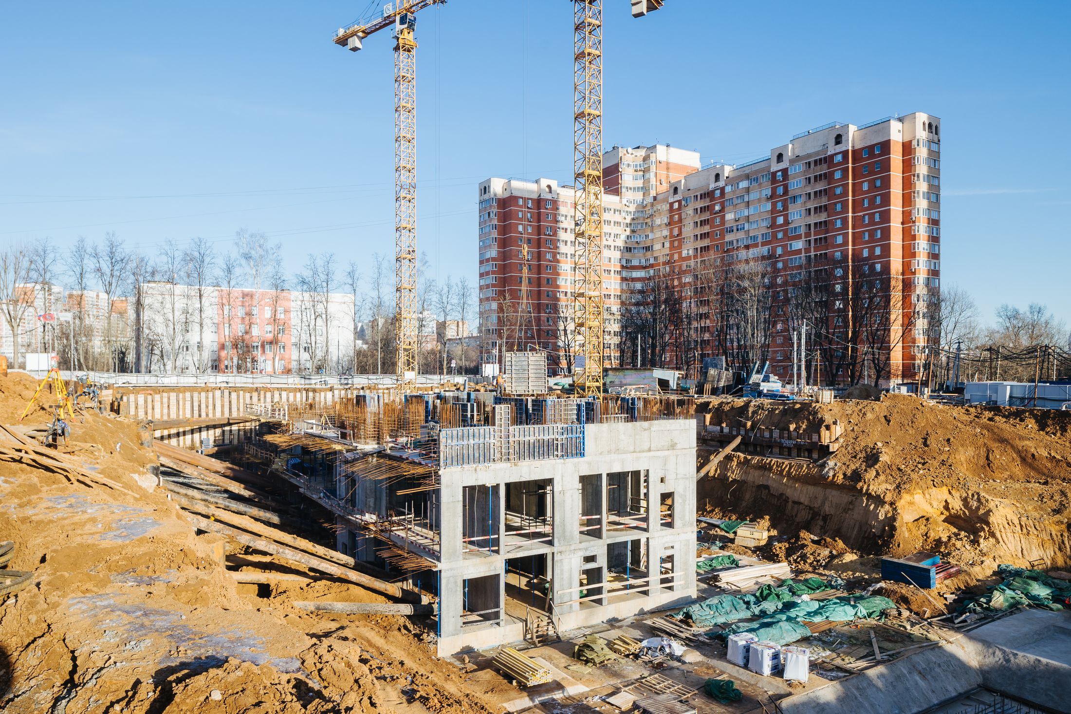 Индиво: официальный фотоотчёт, 2025-01-31