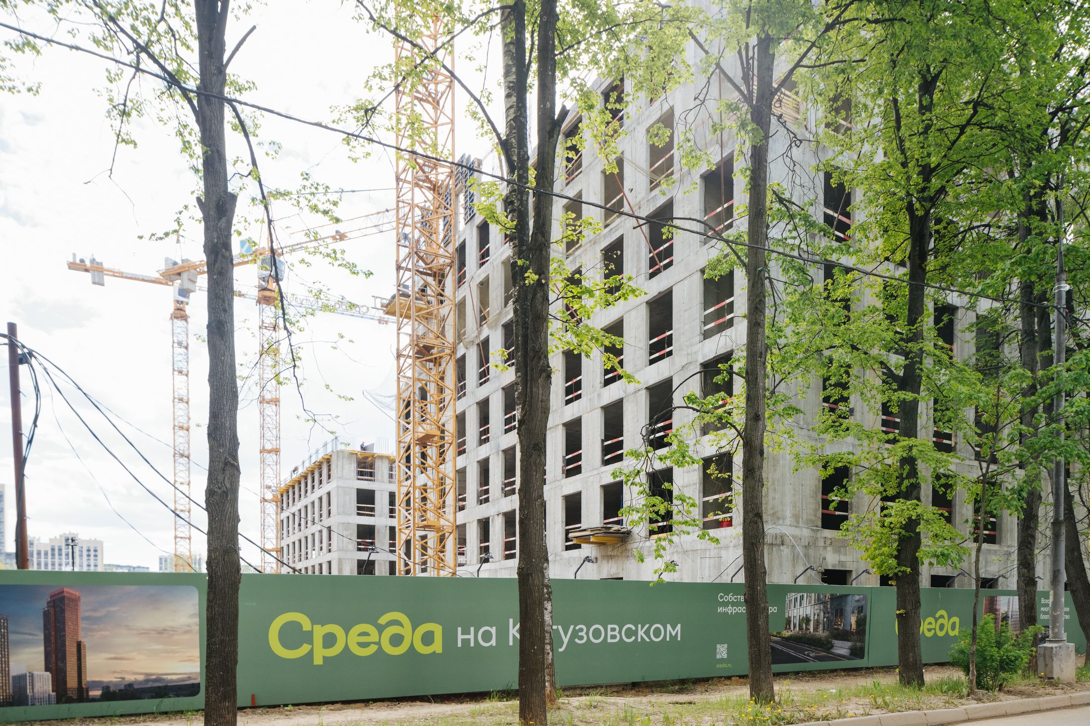 Индиво: официальный фотоотчёт, 2025-05-31