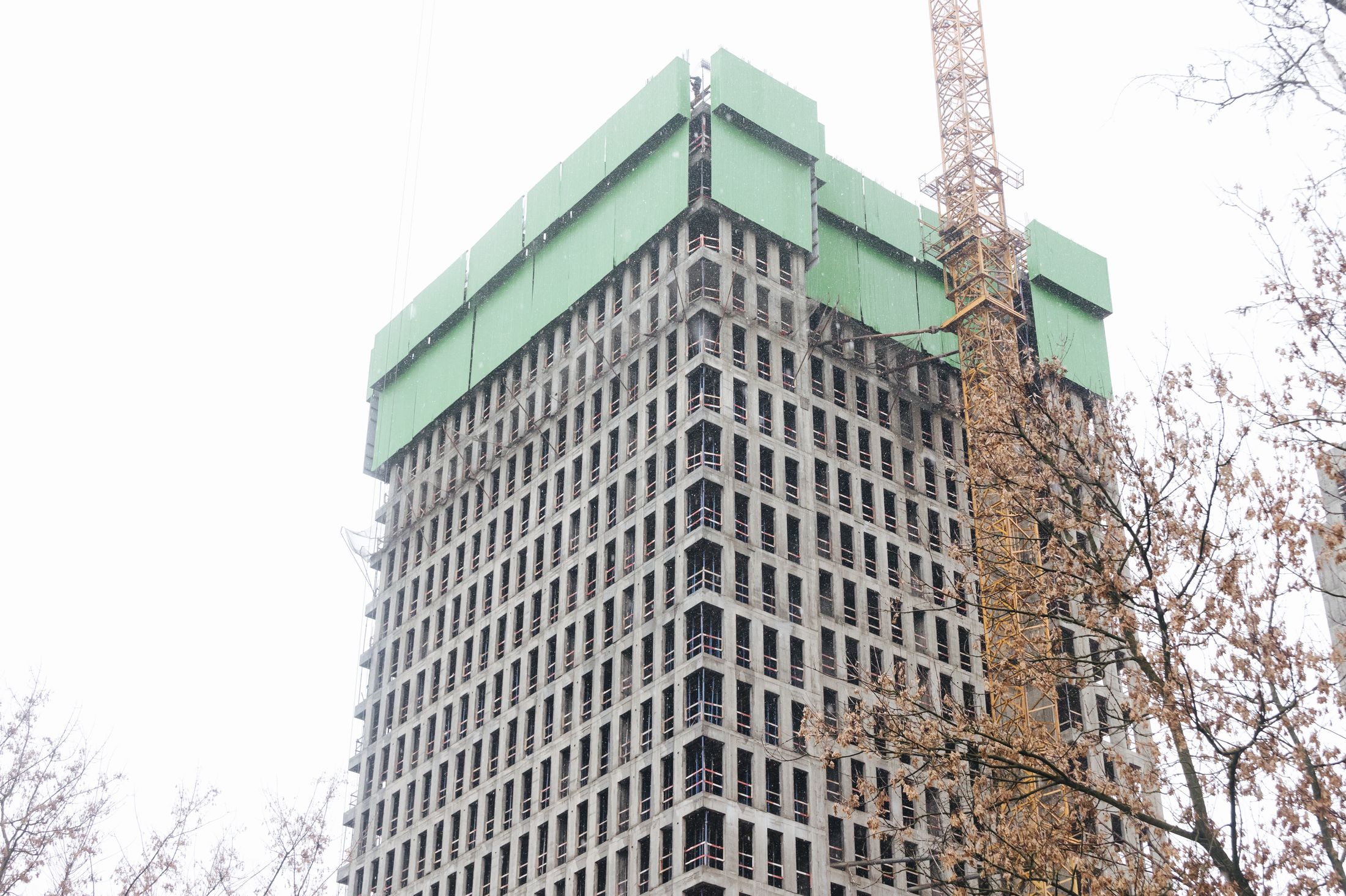 Индиво: официальный фотоотчёт, 2025-12-31