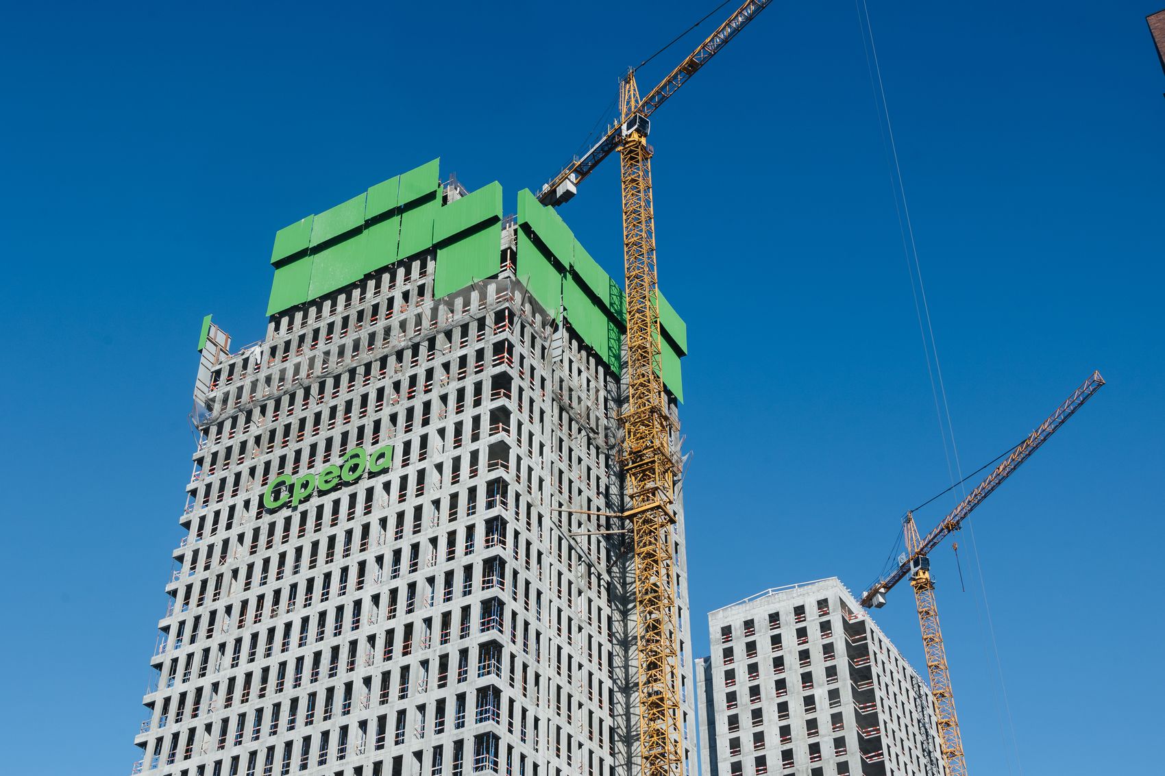 Индиво: официальный фотоотчёт, 2026-02-28