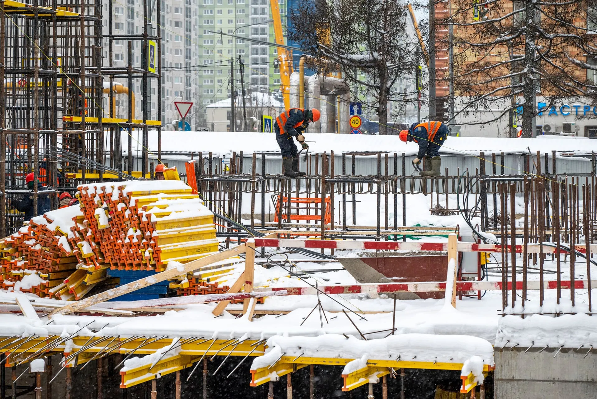 Левел Академическая — Декабрь 2023