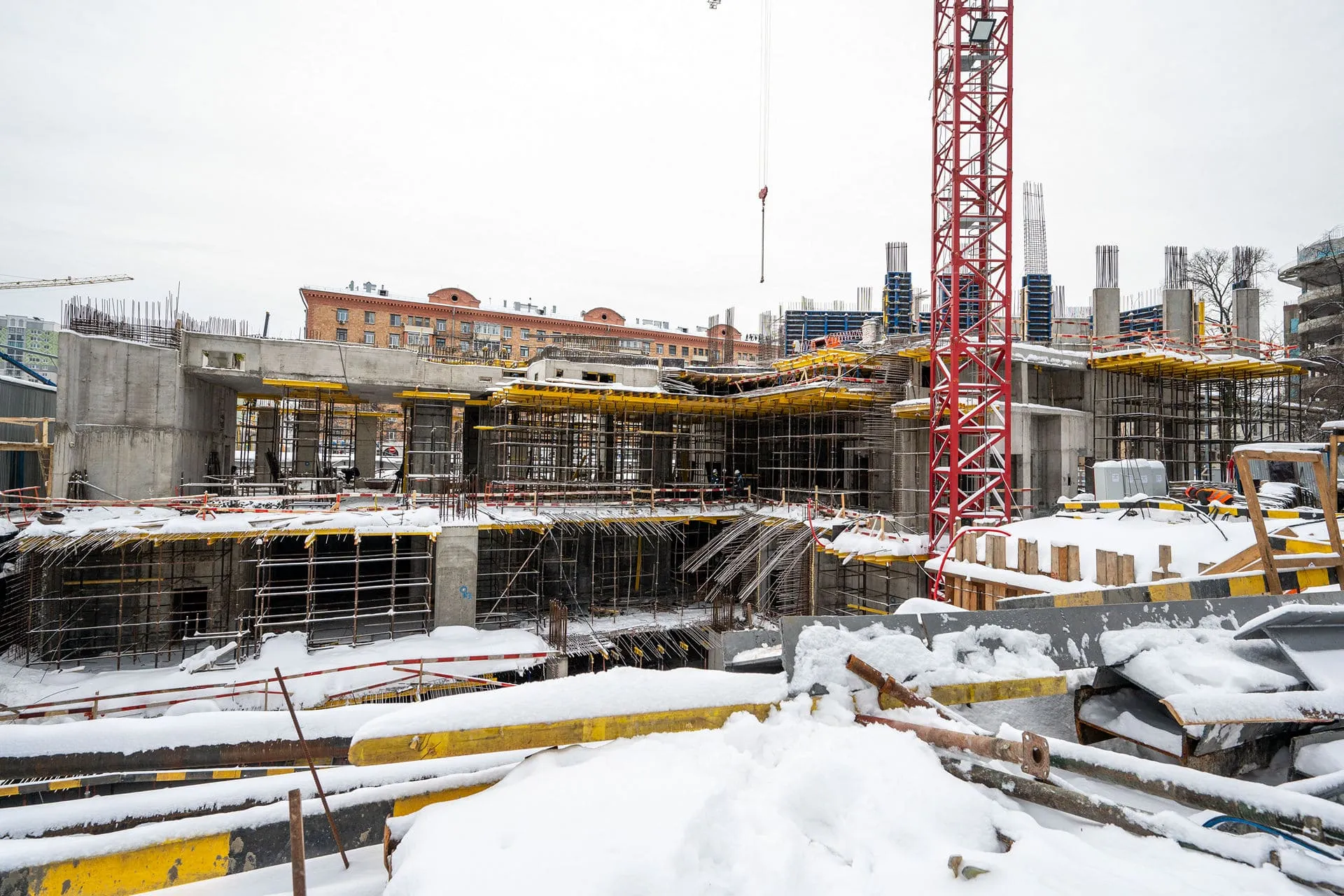 Левел Академическая — Январь 2024