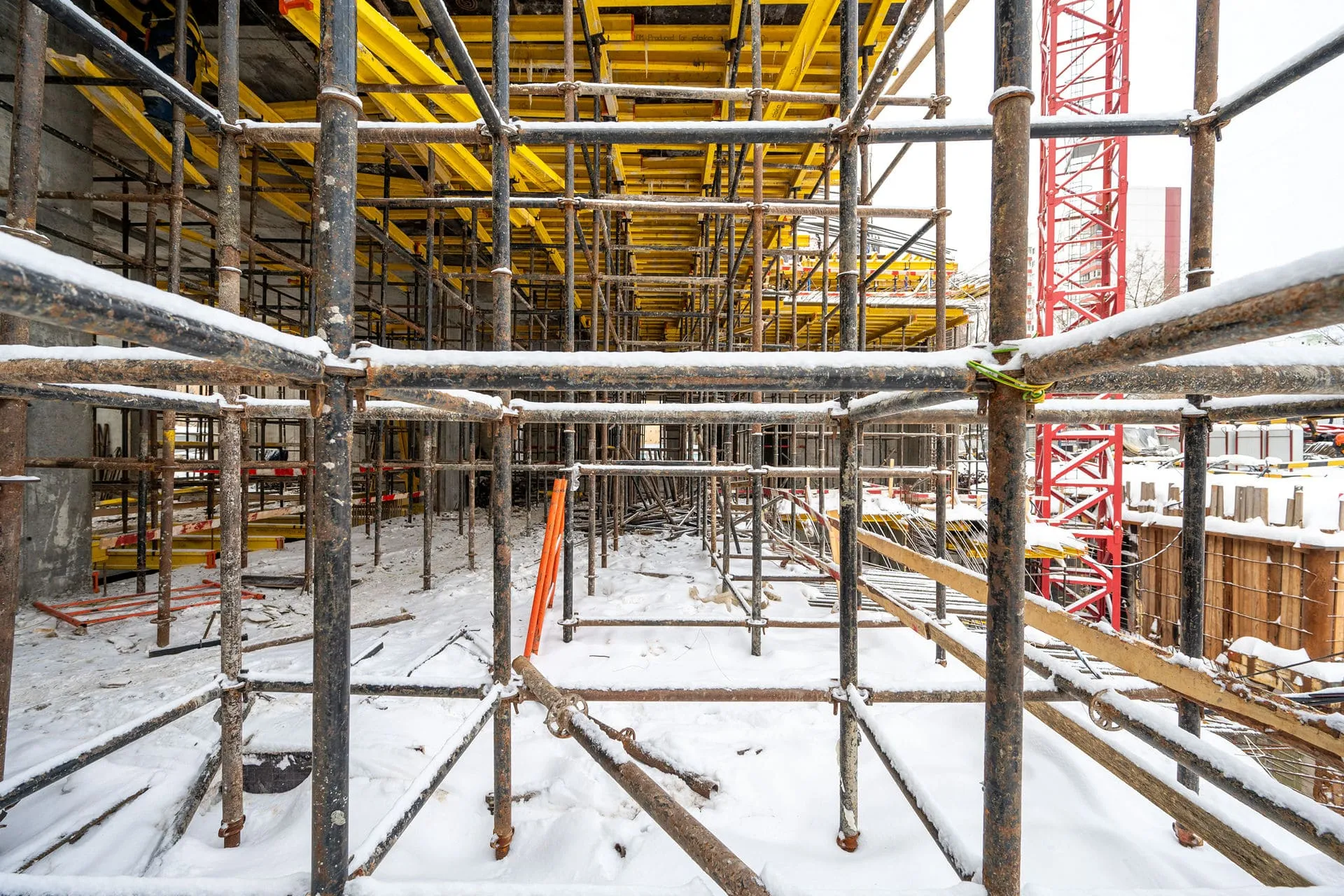 Левел Академическая — Январь 2024