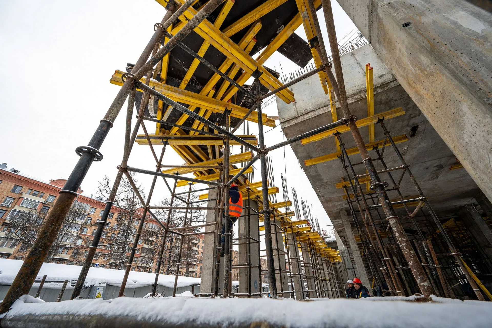 Левел Академическая — Январь 2024