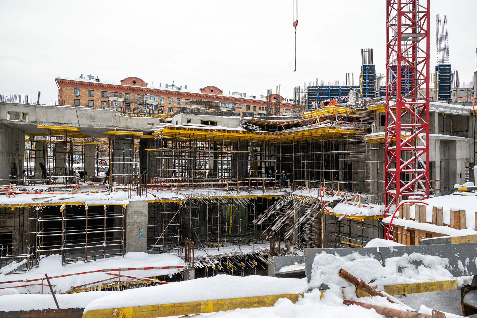 Левел Академическая — Январь 2024