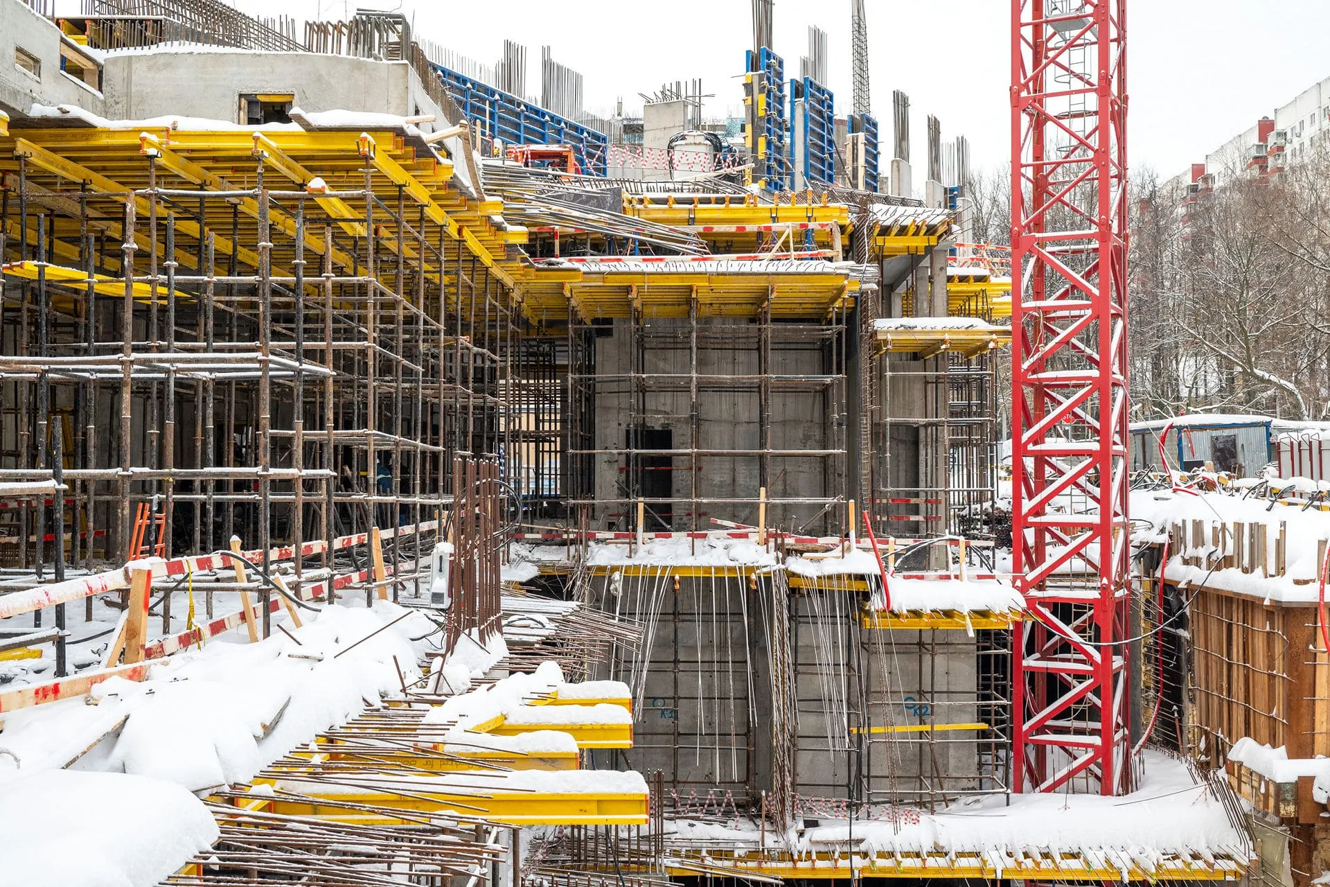 Левел Академическая — Январь 2024