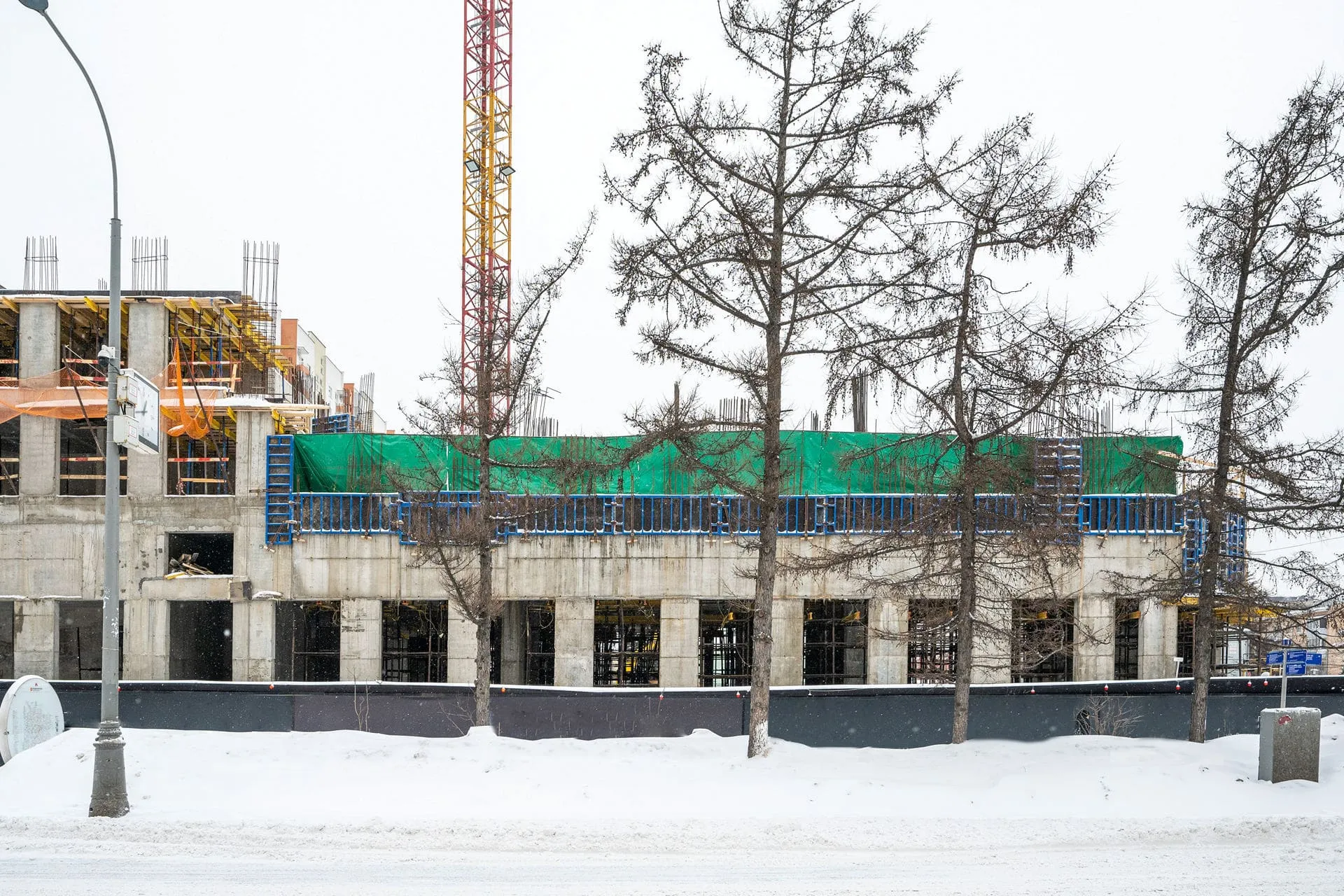Левел Академическая — Февраль 2024