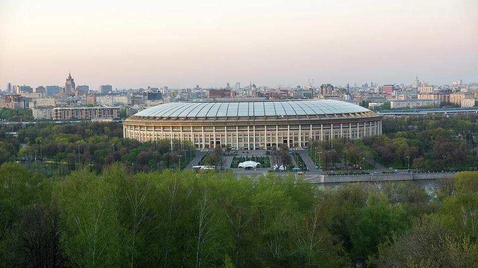 Лужники