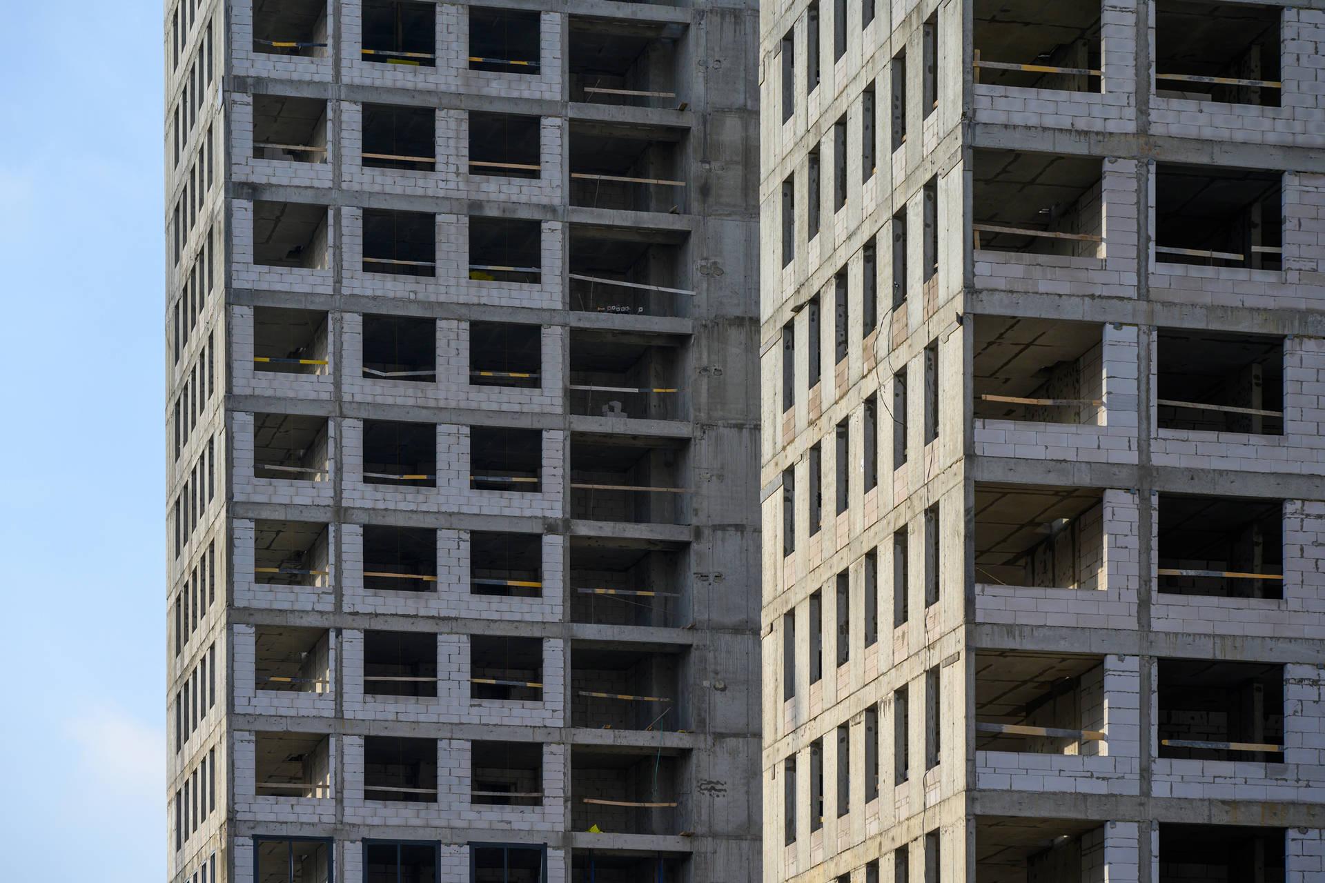 Левел Лесной: Ноябрь, 2025, фото 2