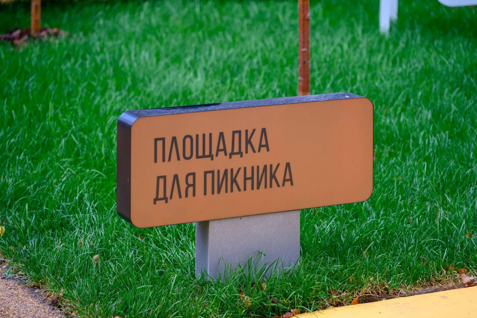 Level Павелецкая Сити: официальный фотоотчёт, Октябрь 2025
