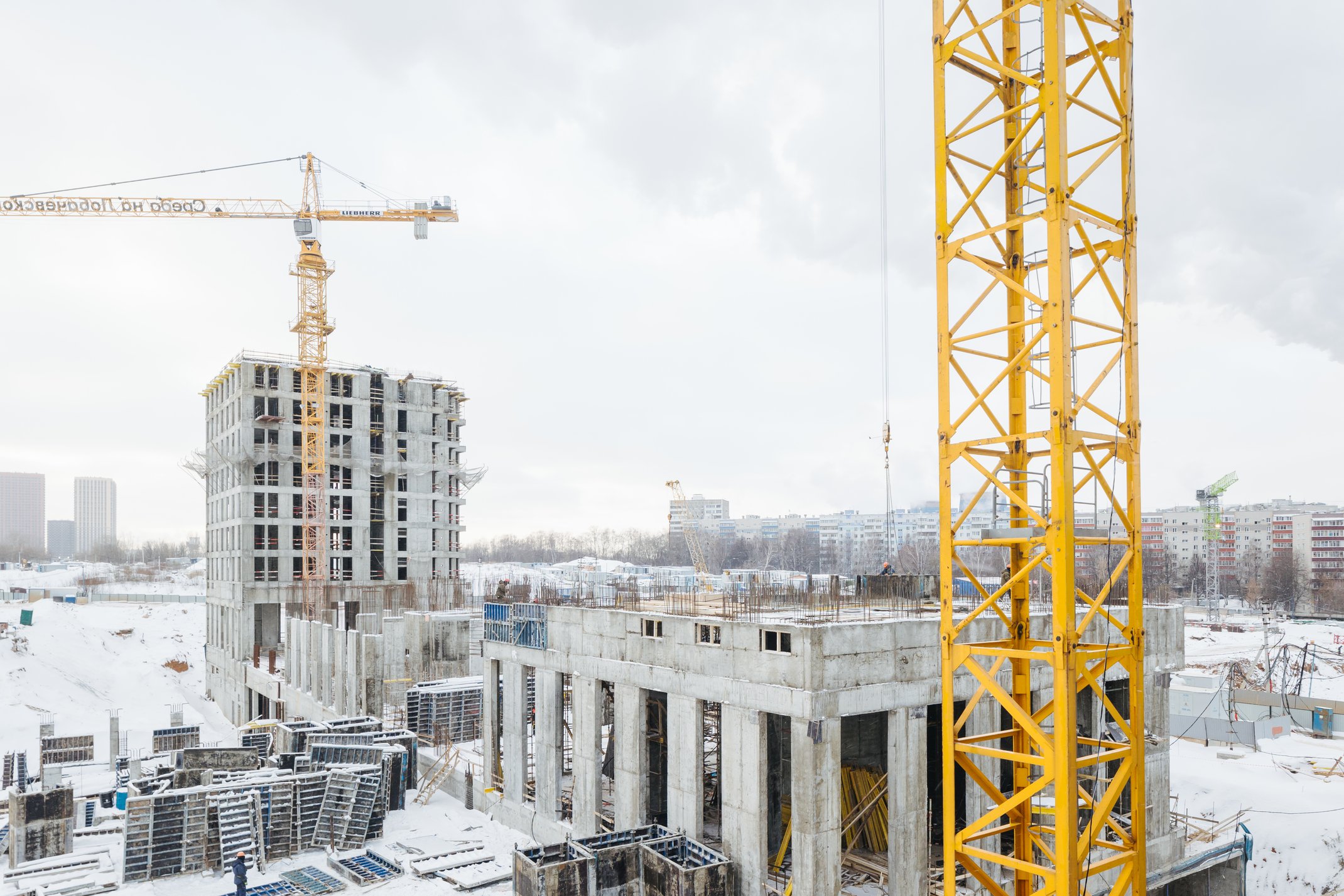 Натив: официальный фотоотчёт, 2024-12-31