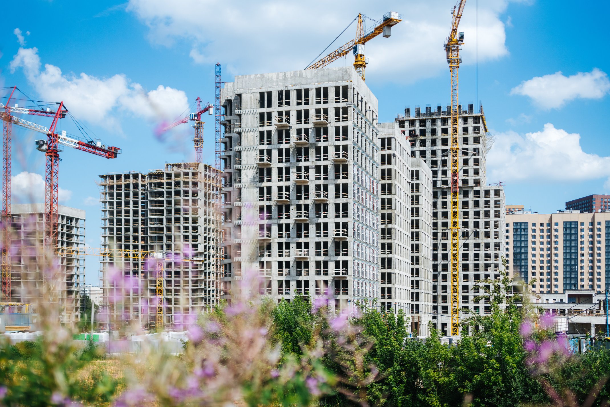 Натив: официальный фотоотчёт, 2025-07-31