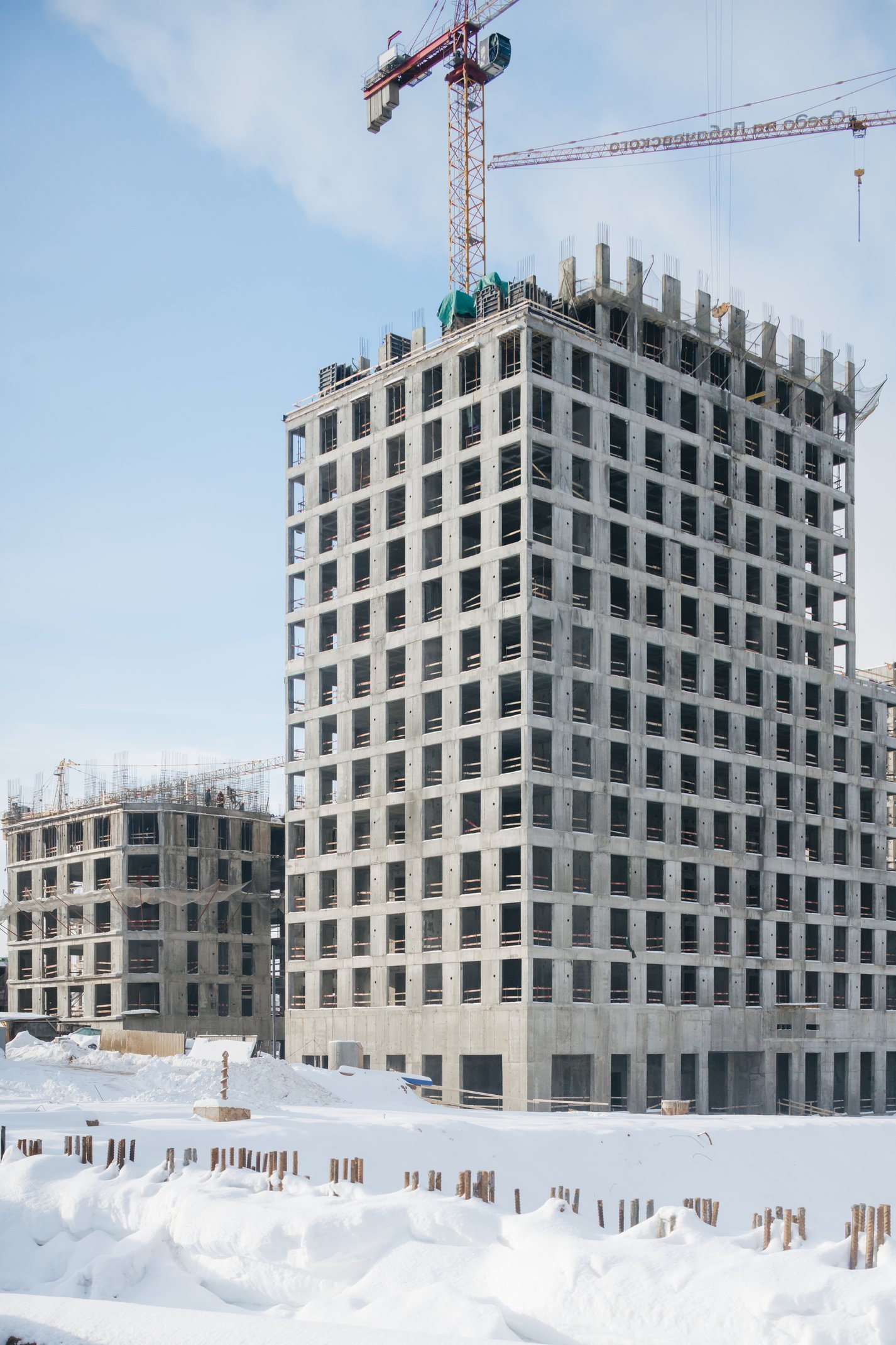 Натив: официальный фотоотчёт, 2026-01-31