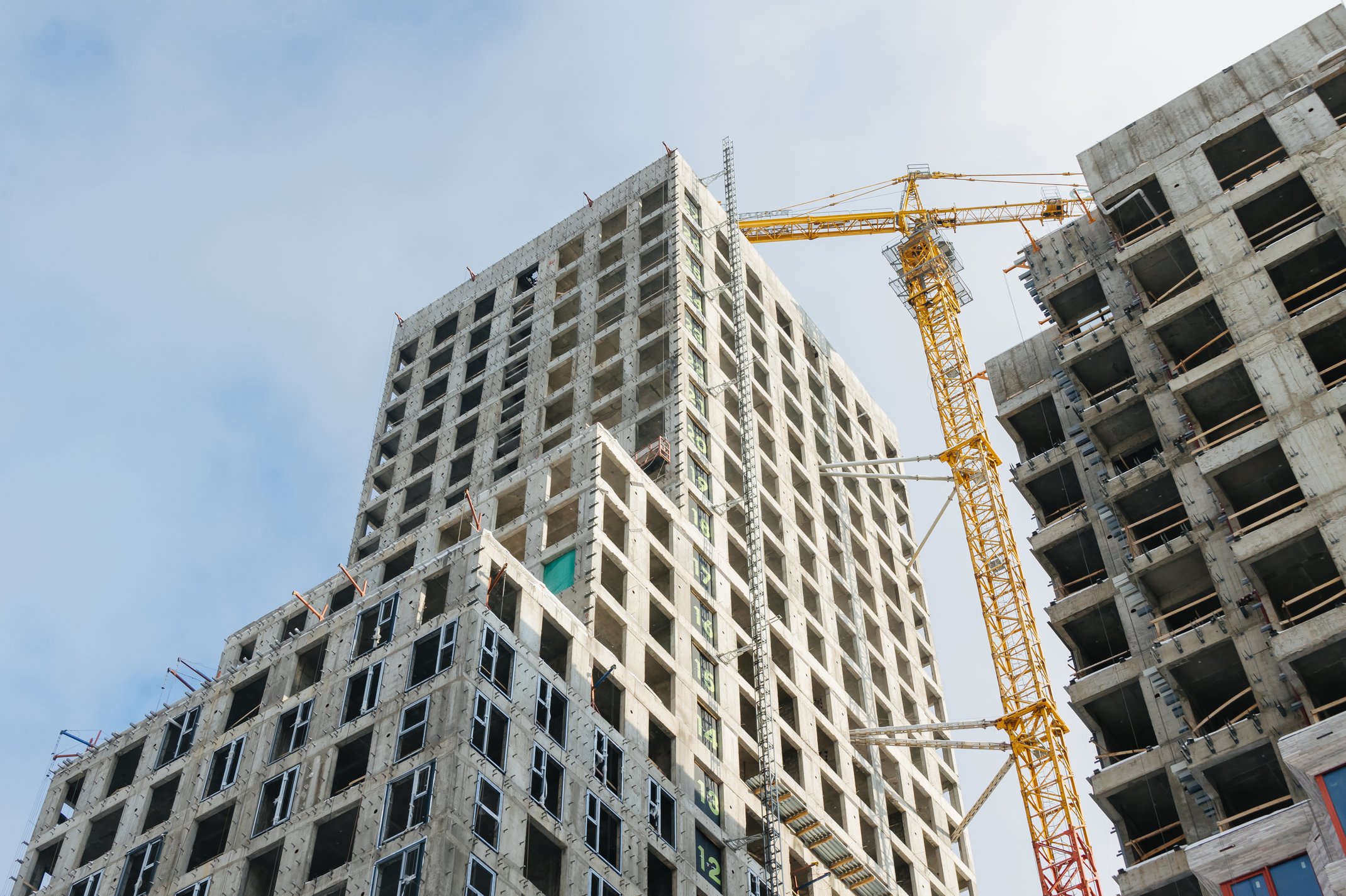 Натив: официальный фотоотчёт, 2026-01-31
