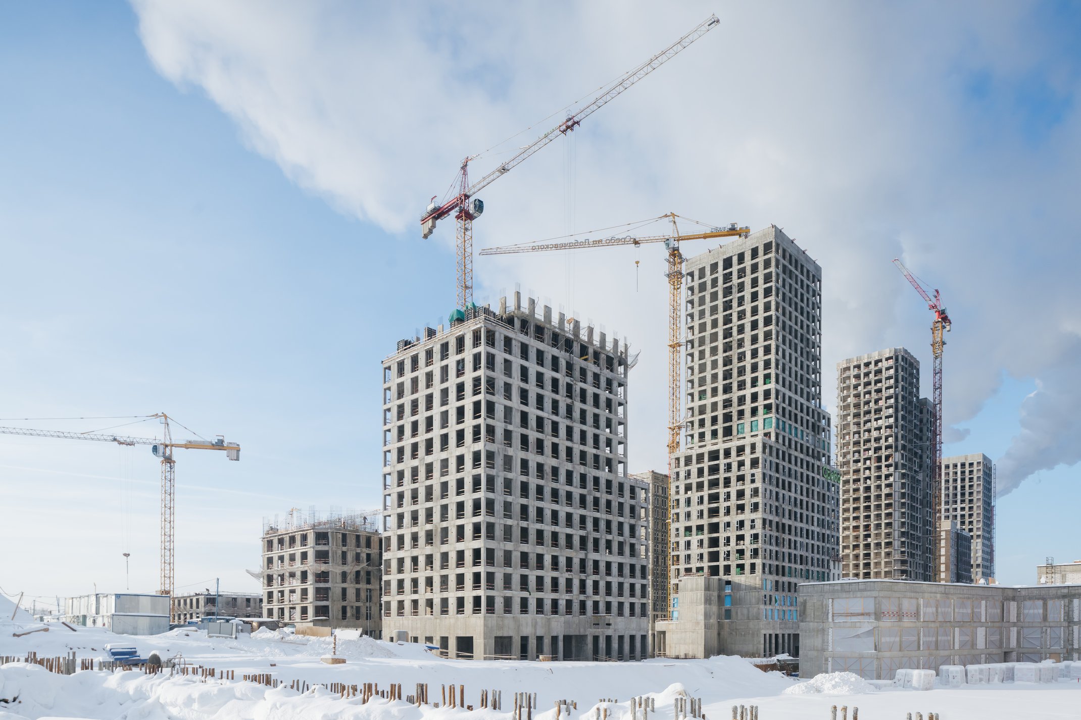 Натив: официальный фотоотчёт, 2026-01-31